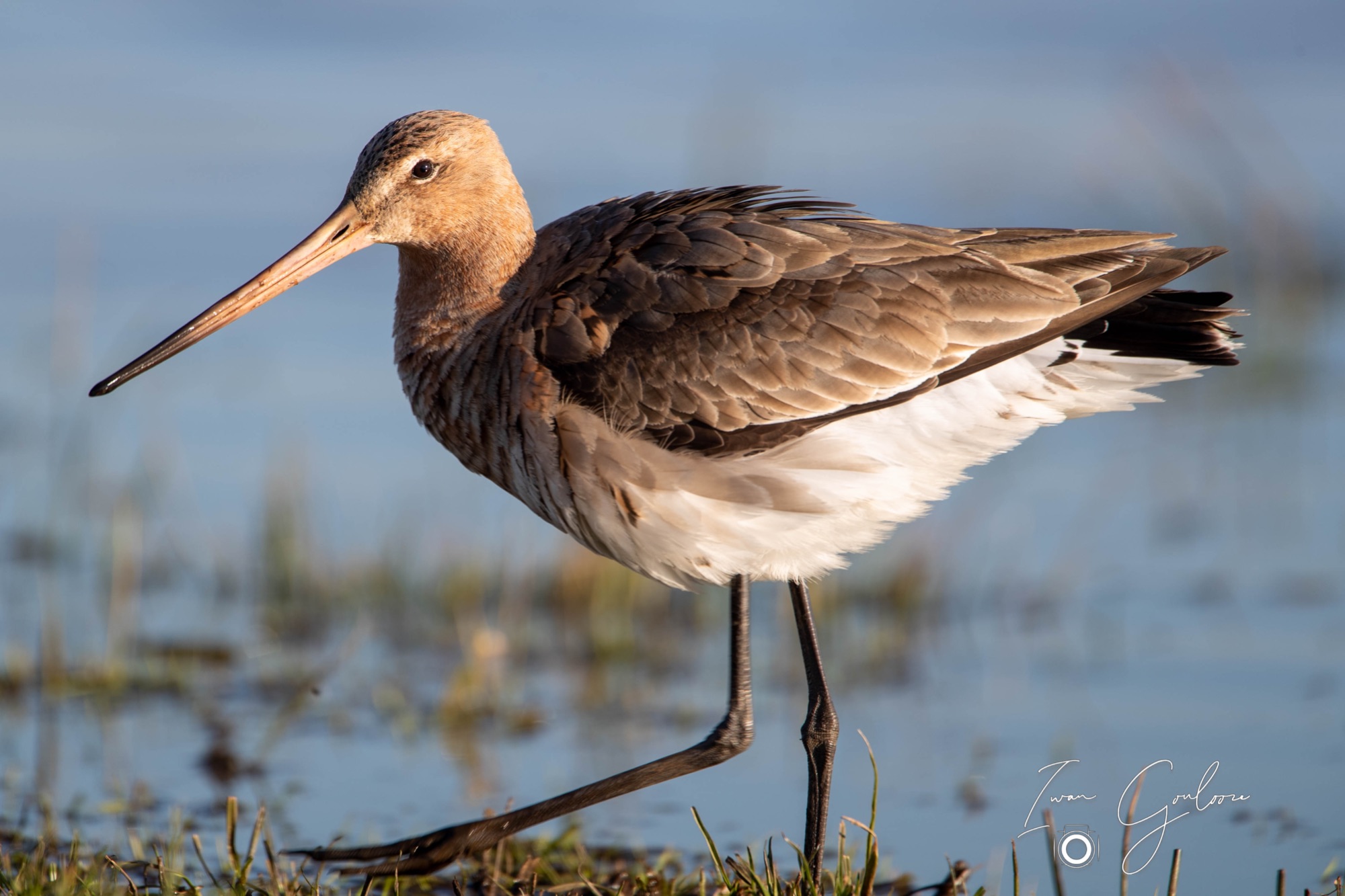 03 maart 2022 171845 1DX43470